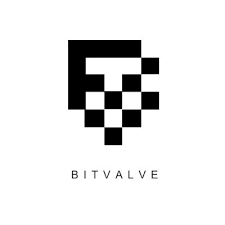 Bitvalve Referral Code | Flat 10% Discount!